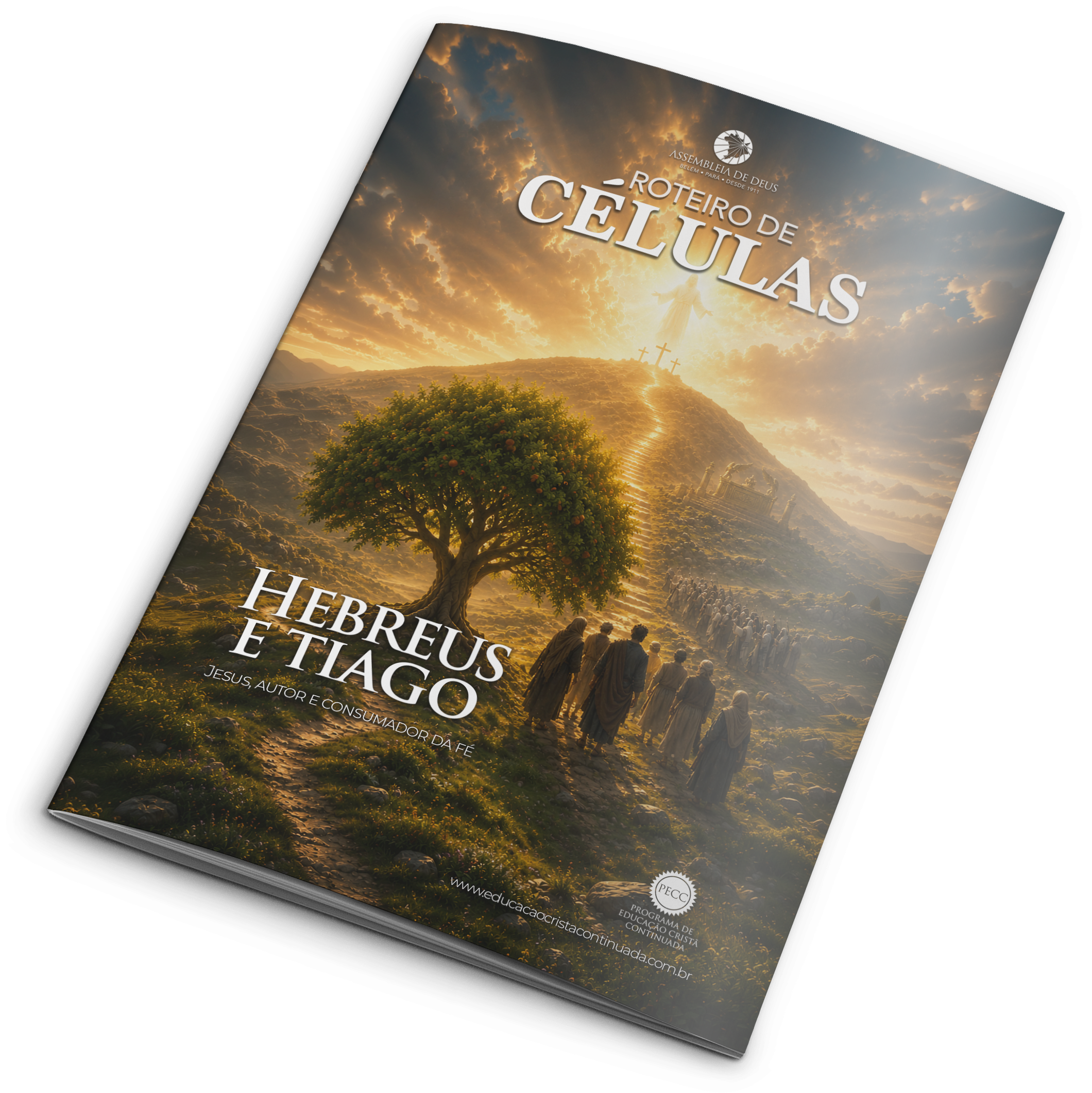 Roteiro de Células